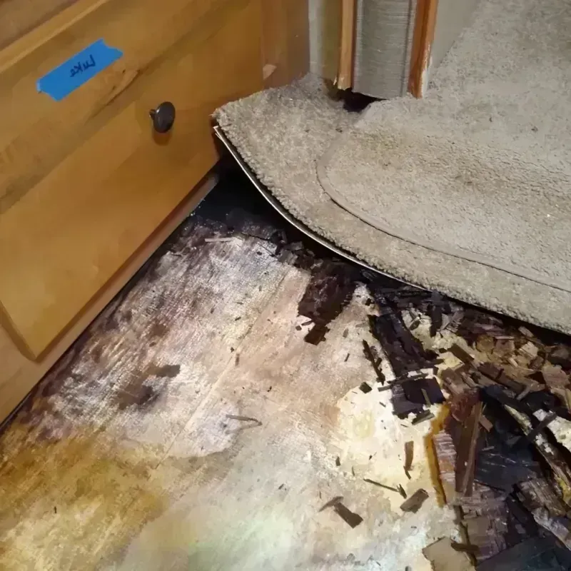 Wood Floor Water Damage in Gibsonburg, OH